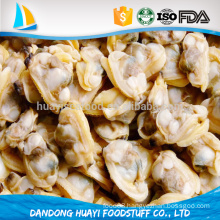 fresh frozen boiled short necked clam seafood